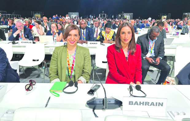 Development financing in focus